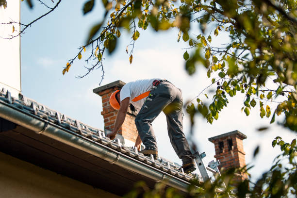 Best Residential Roofing Contractor  in Escobares, TX