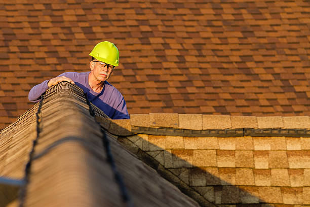Best Shingle Roofing Installation  in Escobares, TX