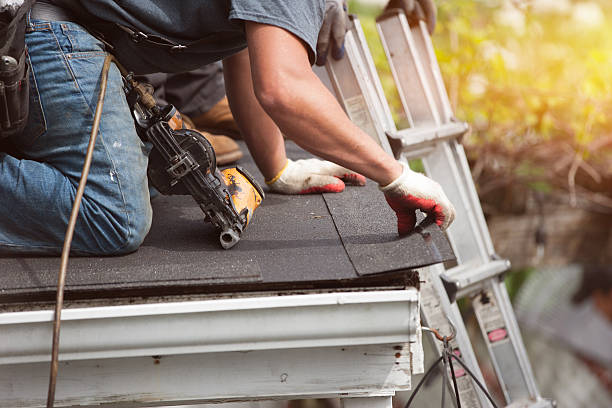 Best Sealant for Roof  in Escobares, TX