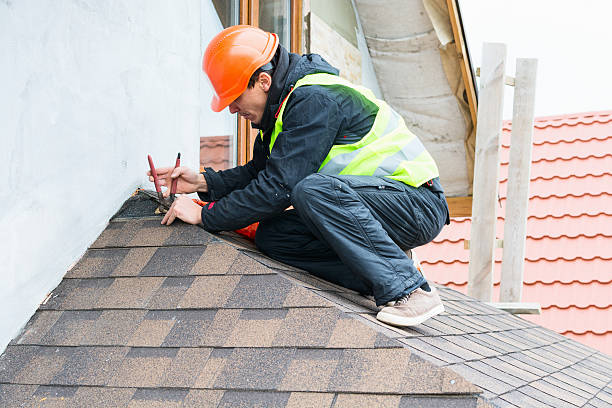Best New Roof Installation  in Escobares, TX