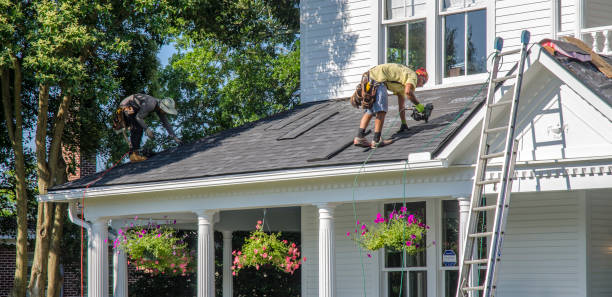 Best Roof Gutter Cleaning  in Escobares, TX