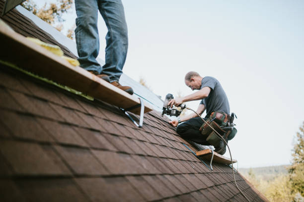 Best Roof Repair Services  in Escobares, TX