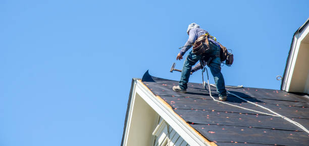 Best Storm Damage Roof Repair  in Escobares, TX